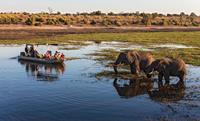 Chobe_River_Botswana_Africa-small
